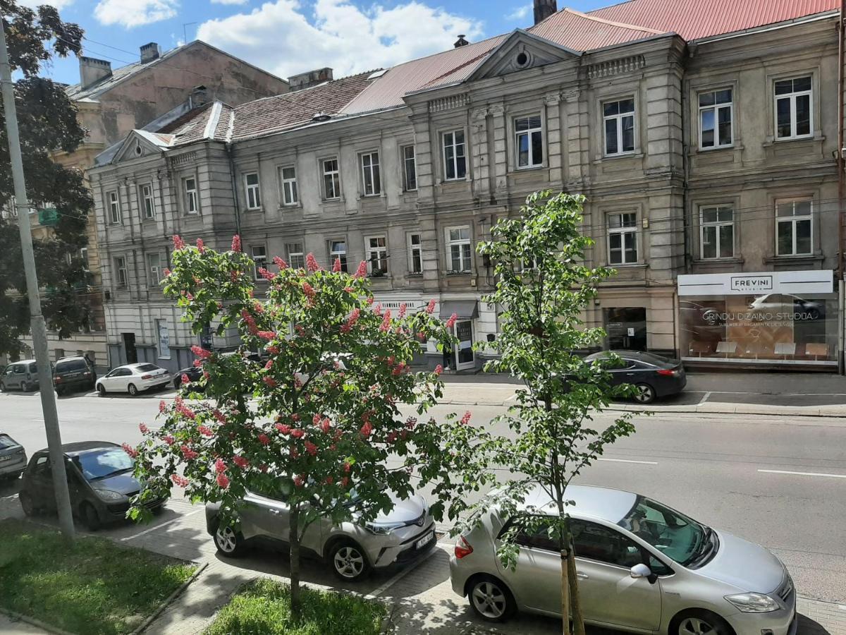 Centrally Located Cosy Studio VNO Exterior foto